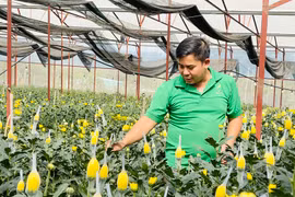 Các đơn vị, cá nhân gửi đề xuất nhiệm vụ nghiên cứu khoa học và công nghệ trước ngày 30-3