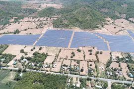 Phó Chủ tịch UBND tỉnh Nguyễn Hữu Quế chỉ đạo về hợp tác giữa Gia Lai với TP. Hồ Chí Minh và các tỉnh Tây Nguyên