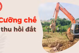Pleiku sẽ cưỡng chế, kiểm đếm đối với ông Lê Tuấn Quang và bà Dương Thị Hường