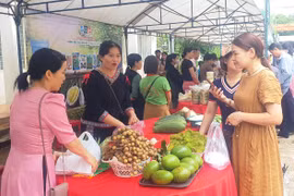 Chư Sê có 5.970 hộ nông dân sản xuất kinh doanh giỏi