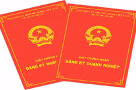 Chưa bắt buộc cập nhật số căn cước công dân trên Giấy chứng nhận đăng ký doanh nghiệp