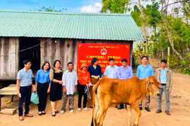 Trưởng ban Dân vận Tỉnh ủy Phạm Thị Tố Hải tặng bò sinh sản cho hộ nghèo làng Kuk Kôn