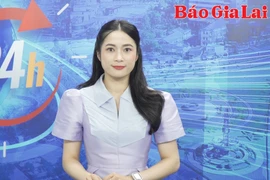 Gia Lai 24h: Tổ chức Tuần lễ Hoa dã quỳ-Núi lửa Chư Đang Ya năm 2024