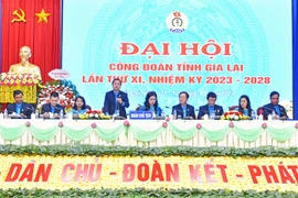 Đại hội Công đoàn tỉnh Gia Lai lần thứ XI: Kỳ vọng vào nhiệm kỳ mới