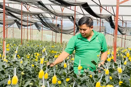 Triển khai Chương trình khoa học và công nghệ phục vụ xây dựng nông thôn mới