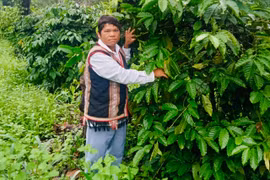 Ksor Am sản xuất giỏi, tích cực hỗ trợ hội viên phát triển kinh tế