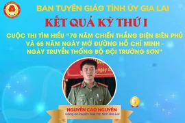 Thí sinh Nguyễn Cao Nguyên đạt giải nhất