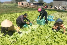 An Phú phấn đấu trở thành xã nông thôn mới nâng cao