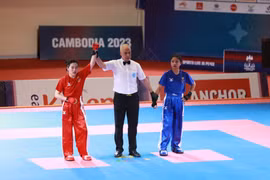 Gia Lai: Khởi sắc thể thao thành tích cao 