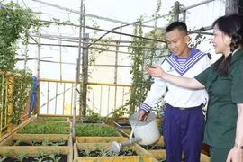 'Tổ quốc nhìn từ biển…': Niềm tin và khát vọng