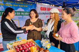 Nông sản Gia Lai lên sàn thương mại điện tử 