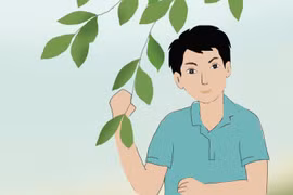 Tiếng ve thương nhớ