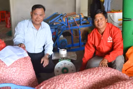 Triển vọng từ tổ hợp tác "3 cùng" ở Gia Lai 