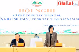 Ủy ban nhân dân tỉnh sơ kết công tác tháng 1-2023 