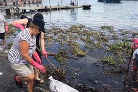 Du lịch xanh: Không chỉ trên giấy