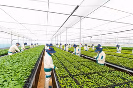 Tháo gỡ “điểm nghẽn” để thu hút đầu tư-Kỳ 1: Đánh thức tiềm năng, thế mạnh