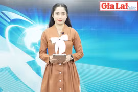 Gia Lai 48h: Gia Lai cần đặc biệt quan tâm, hỗ trợ phụ nữ khởi nghiệp