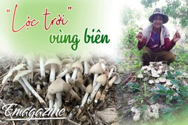 “Lộc trời” vùng biên