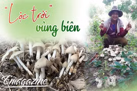 “Lộc trời” vùng biên