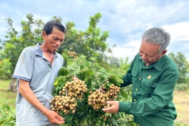 Ia Grai hỗ trợ hợp tác xã phát triển bền vững