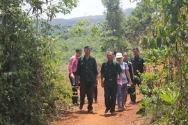 Vụ án 6 cựu chiến binh 'hủy hoại rừng' ở Đắk Nông: Cáo trạng mới buộc tội chưa thuyết phục