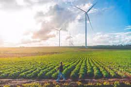 Bộ Công thương trả lời về bồi thường, hỗ trợ đất trong hành lang an toàn cột tháp gió