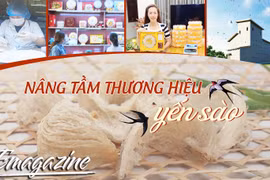 Nâng tầm thương hiệu yến sào