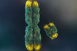 Đột phá từ 100 nhà khoa học: Giải mã bí ẩn lớn nhất của quý ông