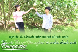 Hợp tác xã: Cần giải pháp đột phá để phát triển - Kỳ cuối: Tháo gỡ “điểm nghẽn” về cơ chế, chính sách