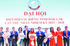 Thành lập Hiệp hội Sầu riêng tỉnh Đắk Lắk