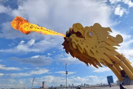 'Biệt đội' chăm sóc những cây cầu 