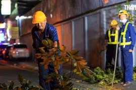 Cách tính lương hưu năm 2023