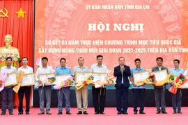 Đa dạng hóa nguồn lực để nâng cao hiệu quả chương trình xây dựng nông thôn mới