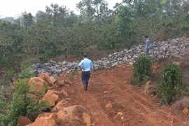 “Mục sở thị” bãi khai thác đá trái phép tại Al Bá