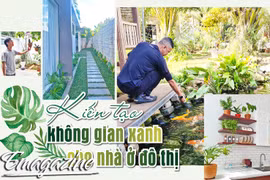 Kiến tạo không gian xanh cho nhà ở đô thị