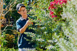 Vườn thảo mộc giữa lòng phố núi Pleiku