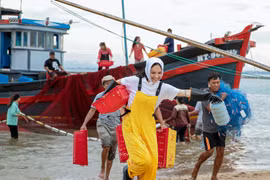 Nhạc Việt cuối năm: Sôi động và rực rỡ