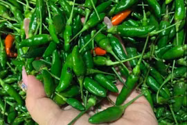 Tác dụng của ớt trong việc giảm đường huyết