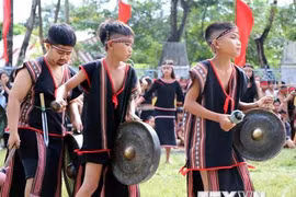 Lần đầu tổ chức Ngày hội Văn hóa, Thể thao và Du lịch vùng Tây Nguyên