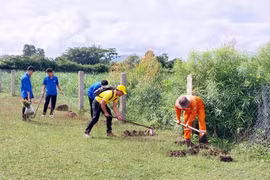 Tuổi trẻ Kông Chro trồng hơn 13.000 cây xanh 