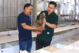 Đak Pơ đẩy mạnh phong trào thi đua “Dân vận khéo”