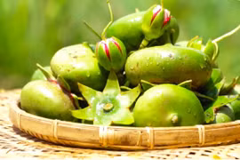 Cây mọc hoang ở Việt Nam, được nhiều nước trên thế giới dùng làm thuốc