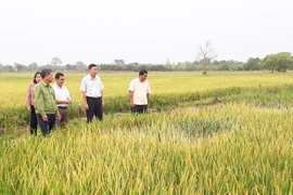 Chư Prông: Lan tỏa phong trào thi đua “Dân vận khéo”