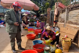 Chợ làng trong lòng đô thị