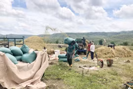 Chư Sê chủ động phòng tránh hạn vụ Đông Xuân