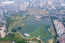 Phân khúc bất động sản nào sẽ hồi phục nhanh nhất?