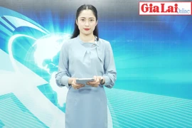 Gia Lai 48h: “Đột kích” ổ xóc đĩa liên tỉnh, bắt giữ 38 đối tượng