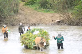 Cần lắm cây cầu bắc qua sông Ayun!