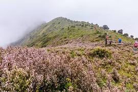 Chinh phục đỉnh Tà Chì Nhù trong mùa hoa chi pâu