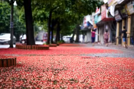 Mùa đông đã về